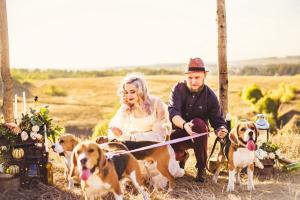  Свадебная фотосессия, Свадебная фотосъемка, Свадебный фотограф