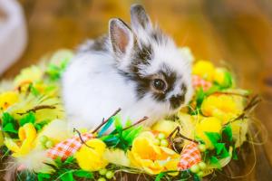  Детская фотосъемка в интерьерной фотостудии в Киеве, Детские студийные фото, Детская фотосъемка Киев