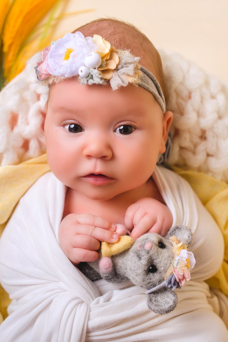 Фотосесія для новонародженого Київ; Фотосесія новонародженого у домашніх умовах; Фотосесія новонародженого Київ; Фотосесія новонародженого в інтер'єрній фотостудії; Фотосесія для новонародженого; Фотосесія новонародженого; Новонароджені фото; Новонароджені; Фотозйомка для новонародженого; Фотозйомка новонародженого; Фотозйомка новонародженого в домашніх умовах; Фотозйомка новонароджених у домашніх умовах Київ; Фотозйомка новонароджених у студії; Фотозйомка новонароджених Київ; Ксенія Murga; Kseniya Murga – www.murga.com.ua; Фотосессия для новорожденного Киев; Фотосессия новорожденного в домашних условиях; Фотосессия новорожденного Киев; Фотосессия новорожденного в интерьерной фотостудии; Фотосессия для новорожденного; Фотосессия новорожденного; Новорожденные фото; Новорожденные; Фотосъемка для новорожденного; Фотосъемка новорожденного; Фотосъемка новорожденного в домашних условиях в Киеве; Фотосъемка новорожденных в домашних условиях Киев; Фотосъемка новорожденных в студии; Фотосъемка новорожденных Киев; Kseniya Murga; Kseniya Murga - www.murga.com.ua; Kseniya Murga www.murga.com.ua; www.murga.com.ua; www.murga.com.ua - Семейный и детский фотограф Ксения Мурга; Ксения Мурга; Ксения Мурга – www.murga.com.ua; Новорожденные на фотографии; Семейный и детский фотограф Ксения; Семейный и детский фотограф Ксения Мурга; Семейный и детский фотограф Ксения Мурга - www.murga.com.ua; Фотосессия в студии Киева фотограф Ксения Мурга; Реквизит для новорожденных; Реквизит для фотосъемки новорожденных; Детский фотограф Бровары; Детский фотограф в Киеве; Детский фотограф Киев; Детский фотограф; Профессиональный детский фотограф; Семейный и детский фотограф Ксения Мурга - www.murga.com.ua, Семейный и детский фотограф Ксения, Ксения Мурга, www.murga.com.ua, Kseniya Murga; www.murga.com.ua - Семейный и детский фотог; Фотосессия в студии Киева фотограф;  Сімейний та дитячий фотограф Ксенія Мурга | Сімейний та дитячий фотограф Микола Мурга. Барвисті фотографії дітей для сімейного фотоальбому. Ловлю живі емоції, сміх, радість, здивування та ніжні обійми Ваших діток.