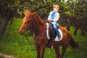  Фотосъемка с лошадьми в саду, Фотосессия в саду, Фотосъемка с лошадьми