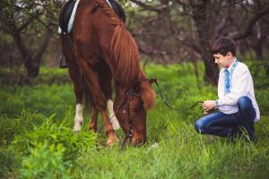  Фотосъемка с лошадьми в саду, Фотосессия в саду, Фотосъемка с лошадьми