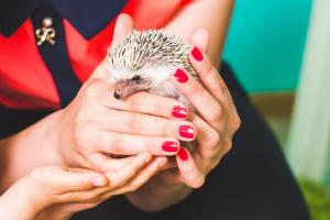  Детская фотосъемка в интерьерной фотостудии в Киеве, Детские студийные фото, Детская фотосъемка Киев