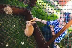  Фотосъемка детского дня рождения, Семейный и детский фотограф Ксения Мурга, Профессиональный детский фотограф